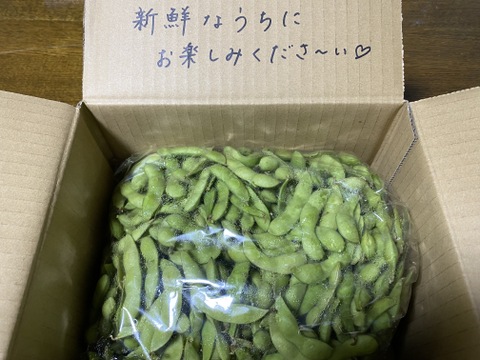 【今日発送】【希少】枝豆王国新潟から☆ブサイクなB品（1.5kg）　生産者は毎日この枝豆食べてます(^^)