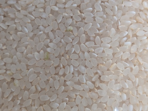 【お試し】緑肥栽培のお米　夢つくし　福岡産　1.5kg　8年産