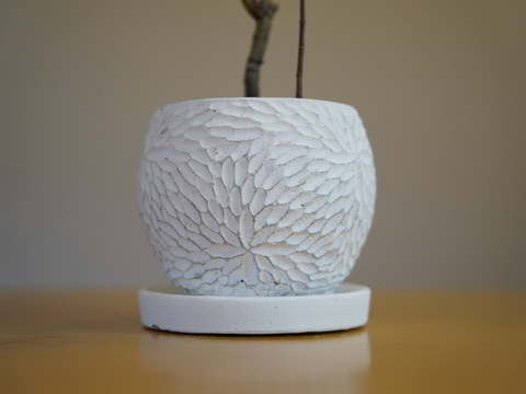 ミニ盆栽　【紅葉🍁ヤマモミジ×白花模様陶器】高さ47cm×横12cm