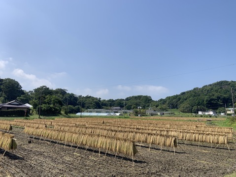 ひとめぼれ 玄米5㎏　農薬・肥料不使用　天日干し！