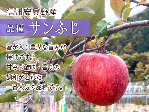 りんごの代表格！ サンふじ 5kg(13～20玉)自家用(訳あり品)  信州安曇野産 りんご