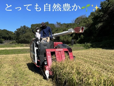 ホタル舞う熊本産 お米 5kg