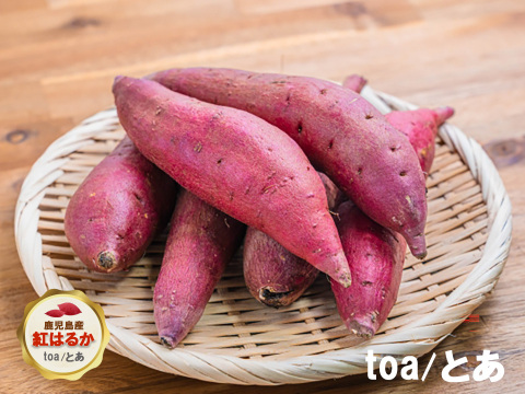 本場鹿児島産の甘～い べにはるか（さつまいも）5kg