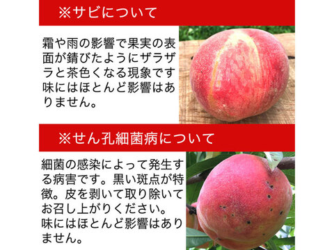 うま～い！ 訳あり 桃 約2.8kg およそ6-14玉 品種おまかせ 長野県産 産地直送 #NPH0B028