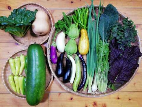 【農薬化学肥料不使用】おまかせ野菜セット【８種類以上の野菜】【金曜日発送】【あわせ買い可】【熨斗(のし)対応可】【８０サイズ箱】