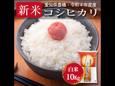 【節減対象農薬6割減・一等米】コシヒカリ 白米10kg【令和4年・愛知県産】