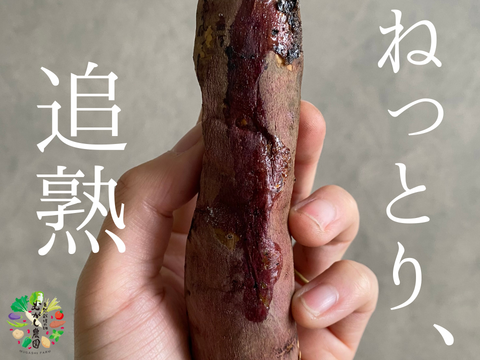有機JAS認証野菜 さつまいも ご家庭用 サイズ混合 5kg