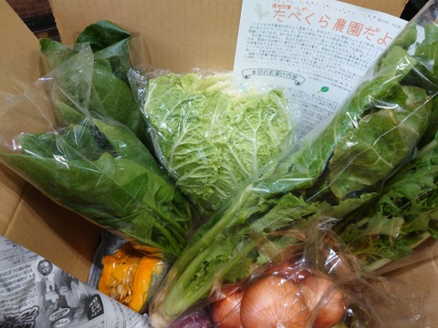 信州四賀より里山の旬野菜セット　10～12品目【M】