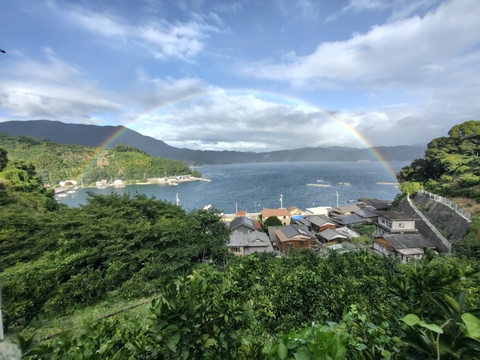 酸味と甘味のバランスの良い旬のちえみかん🍊（田口早生）３㌔