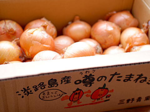 (塩栽培)淡路島産ソルティ玉ねぎ10キロ美味しさ甘さグー