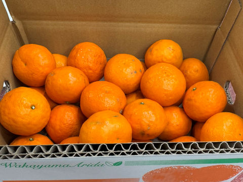しっかり甘いのにさっぱり🍊ご家庭用 南津海【サイズ混合・3kg箱】