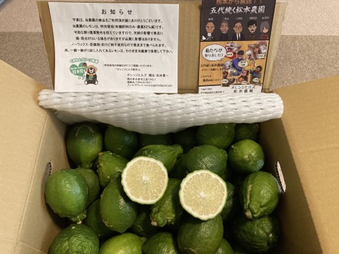 期間限定！国産レモン(B品7kg)