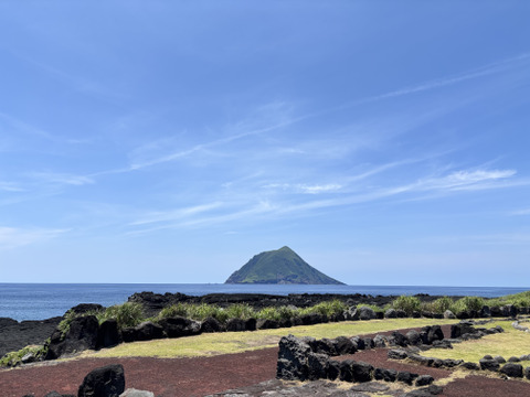 鮮烈な辛さを発する小さな巨人！八丈島の島とうがらし！(100gパック)