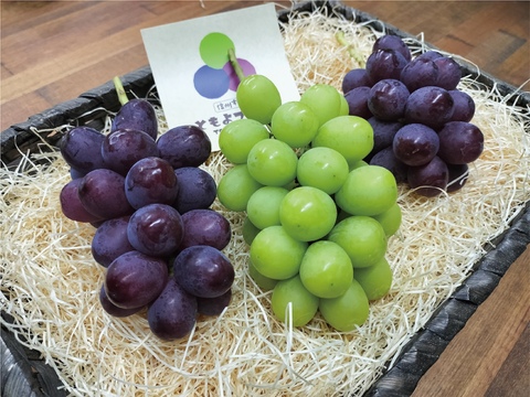 ■クール便■クイーンルージュ＆シャインマスカット“小さめ”セット｜計８５０ｇ以上