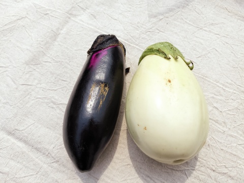 ナス好きのための🍆食べ比べセット3ｋｇ