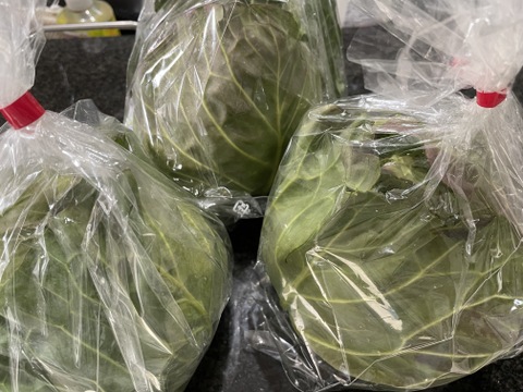 【超期間限定！】大人気♪甘くて柔らかおいしさ感動級♪「グリーンボール」3玉