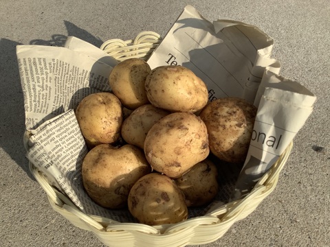 【皮ごと安心！】知多半島産　男爵＆アンデスじゃがいも1㎏