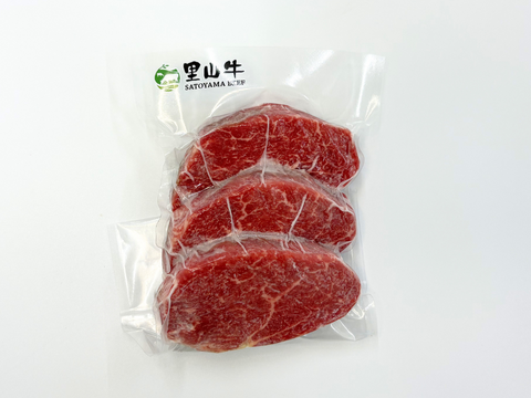 ＼祝・発売記念／【20％OFF】希少部位ミニステーキ３種３枚セット（ヒレスライス・ランプミニ・トンビミニ）計440g　希少部位3種をオトクに食べ比べ♪