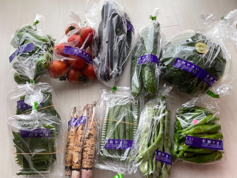 【今が旬屋】みずみずしい旬の夏野菜セット  M ＜８～１０品目・クール便・無農薬＞