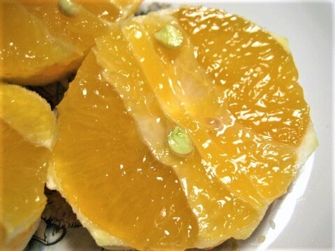 はるひ 朝採り 農薬・肥料・除草剤不使用 2kg