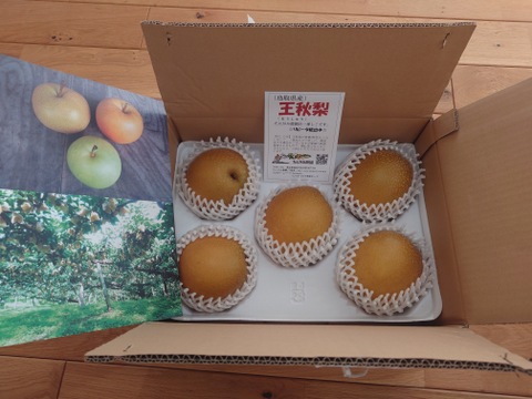 「王秋梨」2.5キロ(4～6玉)たにがみ農園 鳥取県産 みずみずしい 梨 nashi ナシ なし【冬ギフト】