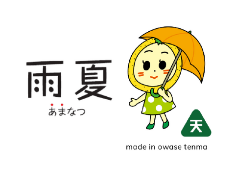 【超熟甘夏 – 雨と太陽と時間が育てた果実】尾鷲甘夏お試し2kg