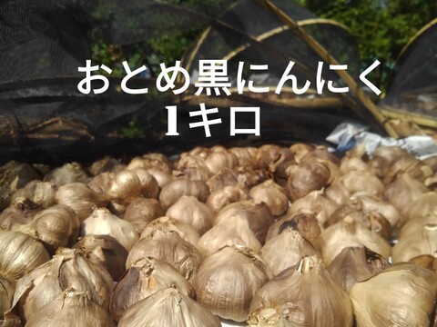 ☆熊本産☆おとめ黒にんにく1キロ (農薬･化学肥料不使用)  ◇生にんにくおまけ付き◇  黒ニンニク にんにく ニンニク