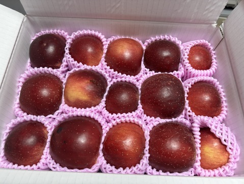 まるせい果樹園のべにこはく　3㌔　訳あり　自家用　家庭用　商品ＩＤ　Ｅ17