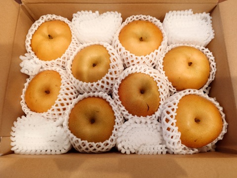 令和7年9月下旬発送【特別栽培農産物】生産者一押し！とにかく甘い！和梨の南水3㎏