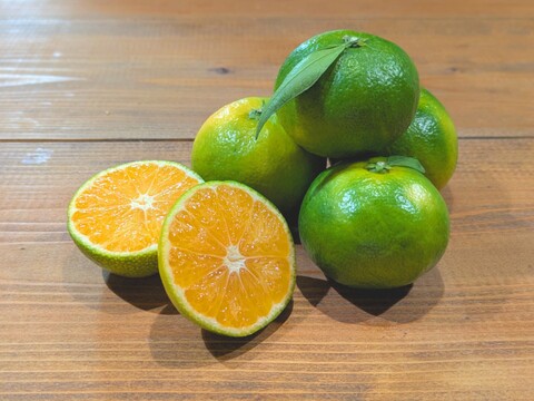 【大崎上島産】【5kg】極早生みかん　日南