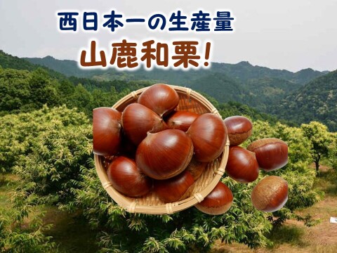 ほっこり濃厚！粗むき栗（冷凍） １ｋｇ（フリーザーパック250g×4袋）