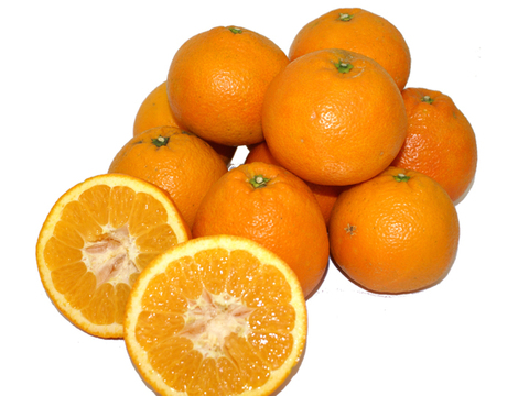 産地直送・わけありいよかん(10㎏ )　ご自宅用　愛媛県産