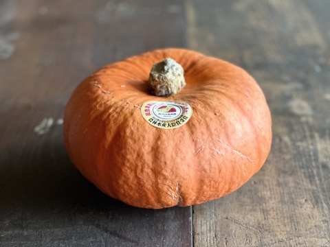 【先行予約開始】幻の奥会津金山 赤カボチャ『合格2玉』4kg