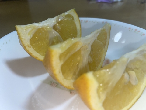 甘夏　箱こみ9.5キロ以上　２L～４Lサイズ（300g～450ｇ）ワックス不使用　農薬不使用