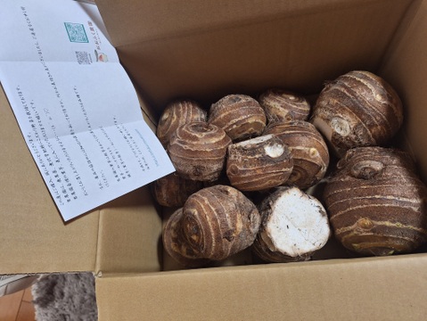 おおふくの頭芋(里芋の親芋)5キロ　ねっとりほくほく　農薬不使用有機肥料栽培