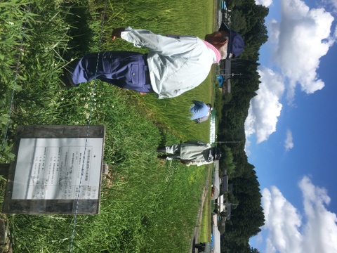 【お米のプロが作るお米！】
令和7年産 ミルキークイーン (白米5kg/茨城県笠間産)