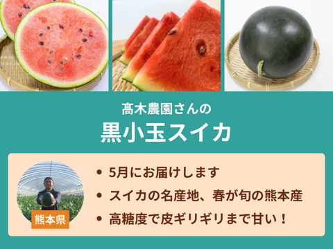 トロピカルフルーツ便［全3回／春スイカ・パイン・マンゴー］※送料込※（食べチョク公式）