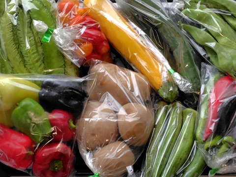 【旬のお勧め野菜セット】＊6品目以上～農薬/化学肥料・不使用