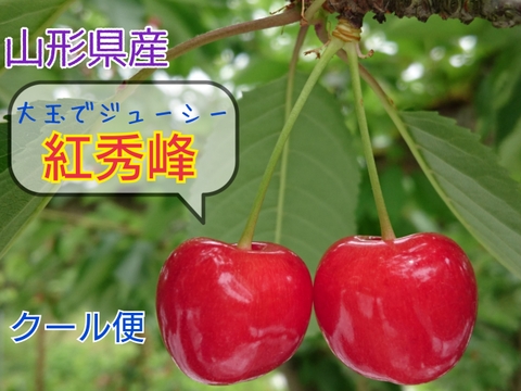 大玉☆山形県のさくらんぼ【紅秀峰】 700g ※クール便 6月下旬〜発送