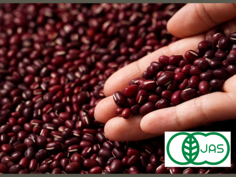 有機小豆800ｇ (400g袋×2）北海道の大地で育ったふっくら柔らか「きたろまん」 １２月１８日ころから発送を開始予定 　　令和７年度産