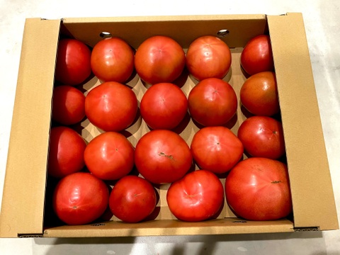 【超お得】お得な訳ありトマト8kg