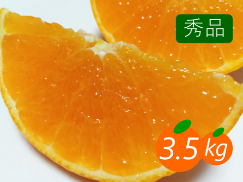 なあな　秀品まどんな4kg ＋南柑20号サイズ混合4.5kgぐるりん 予約割引》【秀品】まどんな 3.5kg みんなトリコになる