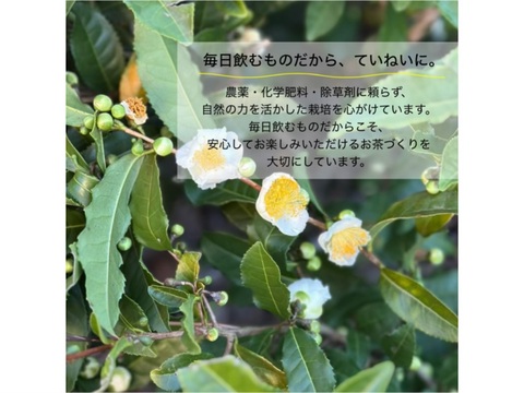 【新商品】【オリジナルブレンドティー】和紅茶アールグレイ(3g×20包入り)