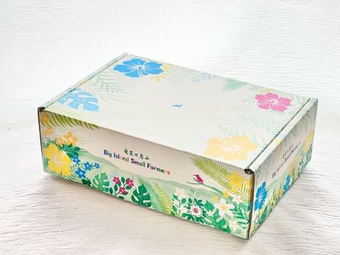 《皇室献上品産地のパッションフルーツご贈答用》奄美大島瀬戸内町産【夏ギフト】大玉12個入り／約1kg／希少な南国フルーツ高級ギフト／農園オリジナル化粧箱入り