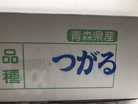 【夏りんご】青森県産りんご 「つがる」家庭用 約10kg(5kg×2箱)キズ有 【光センサー選果・クール】