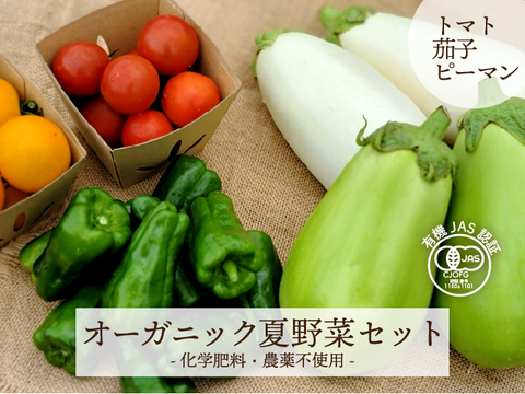 《夏限定》オーガニック　夏野菜詰め合わせ小　【有機JAS認証】