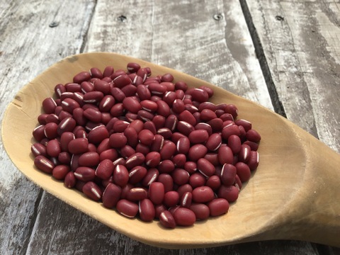 【まとめ買い対応】新豆　自然栽培　小豆　500g