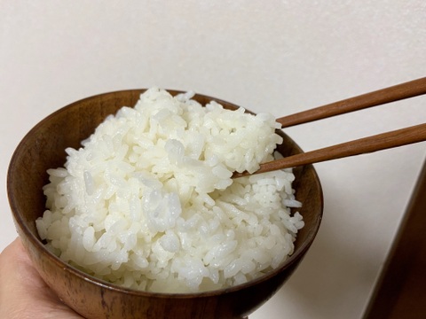 【店頭販売されない希少品種・農林22号】新米 農薬・除草剤不使用 白米3キロ