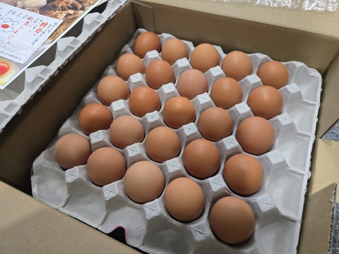 ちょっとだけ小さめの酵母・平飼いたまご50個（元気たまご）