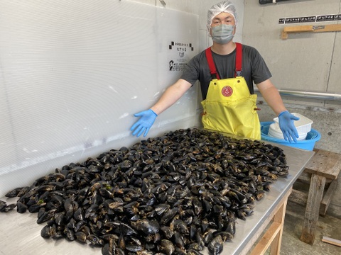 朝採り生ムール貝1kg